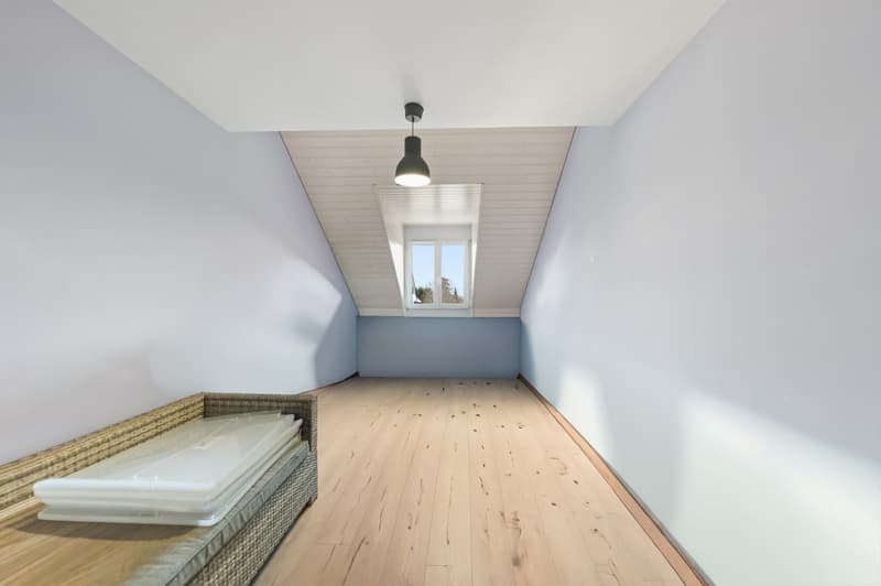 UN DUPLEX D'EXCEPTION AU COEUR DE GLAND (6)