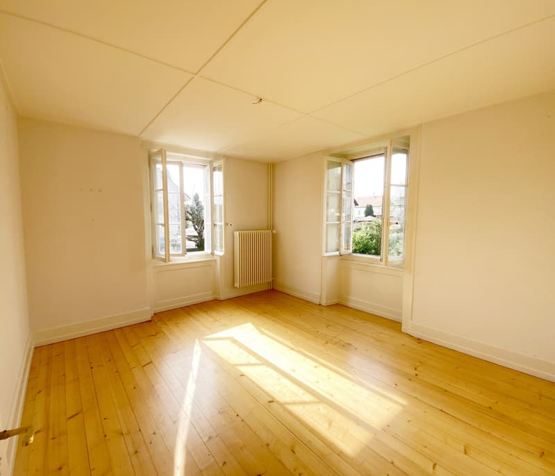 VILLA LOCATIVE DE DEUX APPARTEMENTS A CONCISE ! (5)