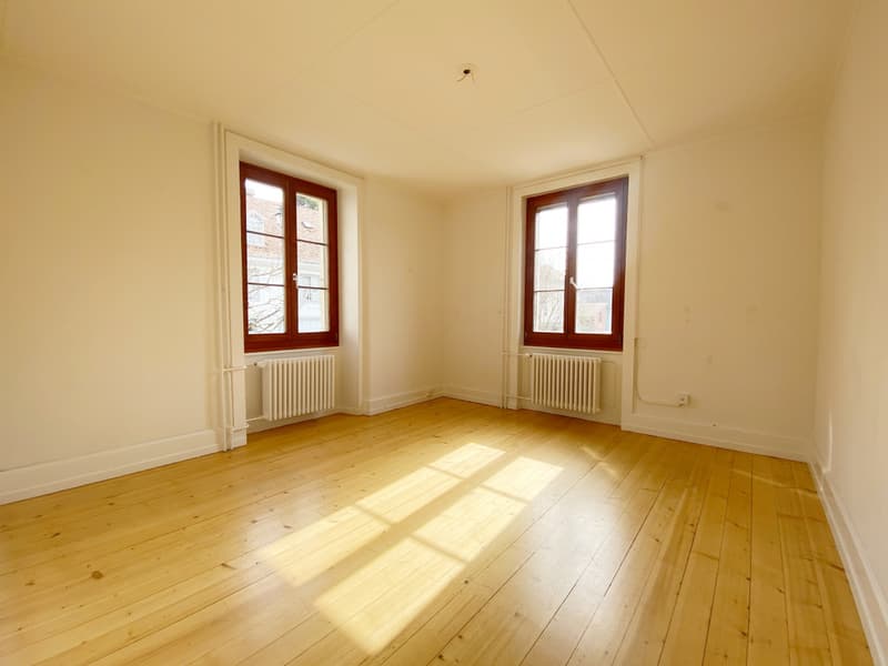 VILLA LOCATIVE DE DEUX APPARTEMENTS A CONCISE ! (4)