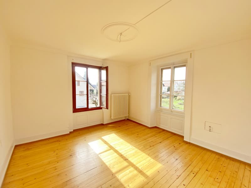 VILLA LOCATIVE DE DEUX APPARTEMENTS A CONCISE ! (6)