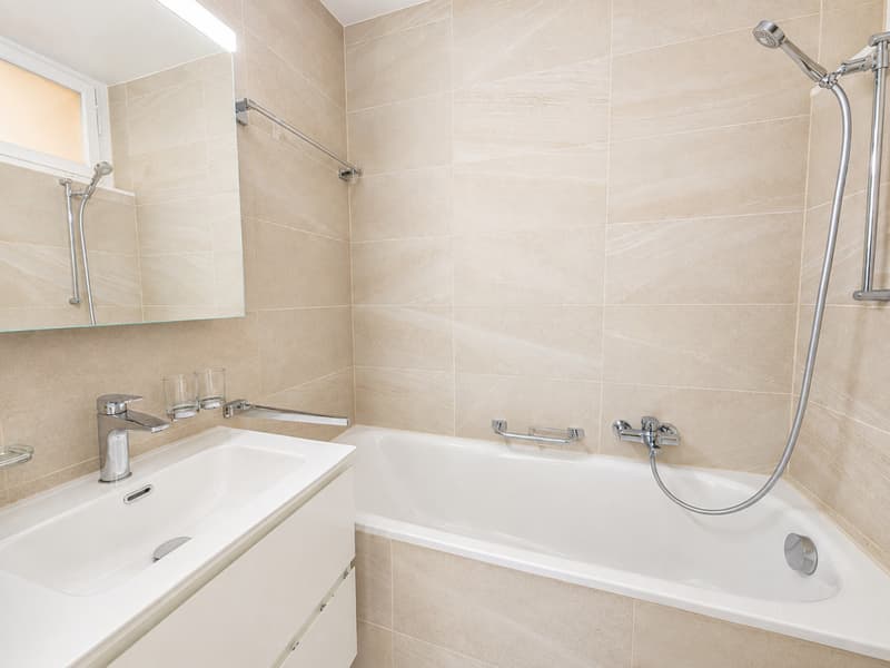 Studio refait à neuf à deux pas du lac et de la gare! (4)