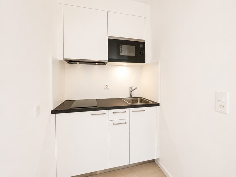 Studio refait à neuf à deux pas du lac et de la gare! (6)