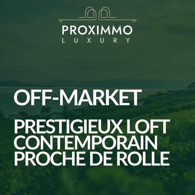 Prestigieux loft contemporain (1)