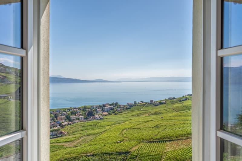 Ensemble historique à réinventer au coeur du Lavaux (2)