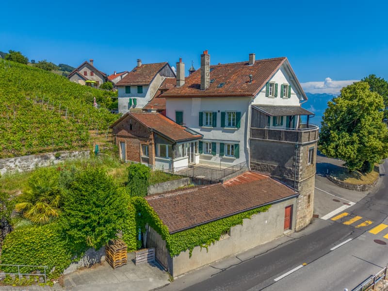 Ensemble historique à réinventer au coeur du Lavaux (1)