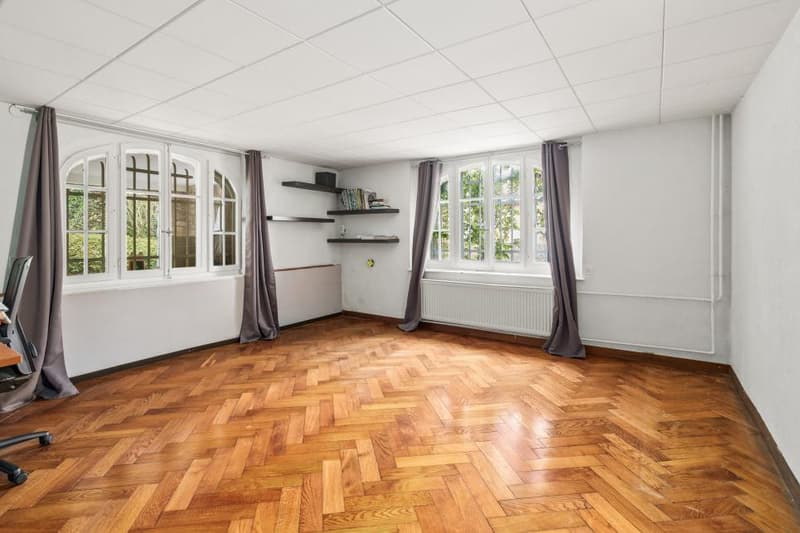 SOMPTUEUSE PROPRIÉTÉ DE MAÎTRE (4)