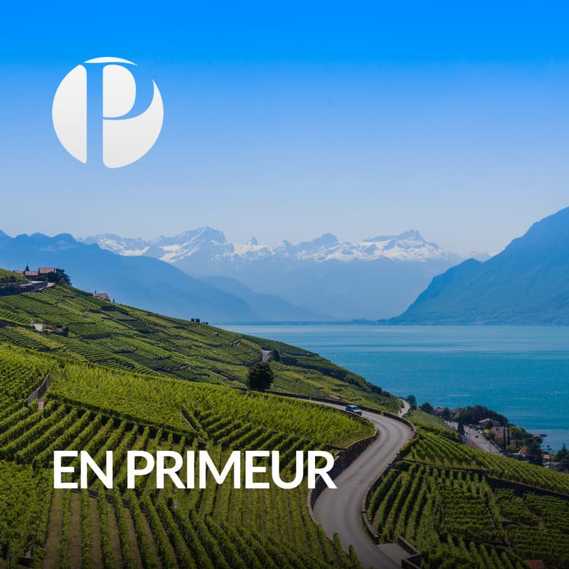 LUXUEUSE PROPRIÉTÉ AVEC LE LAC COMME HORIZON (1)
