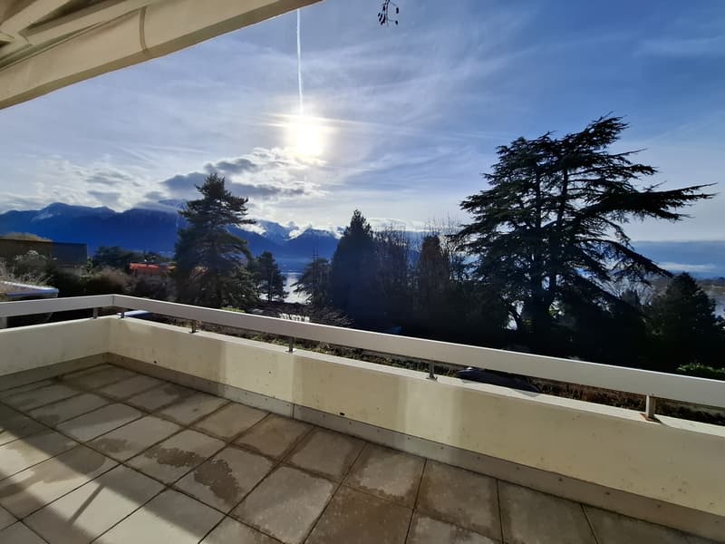 Exclusivité PROXIMMO ! Appartement d'exception entièrement refait à neuf ! (9)