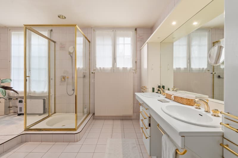 Maison de maître à réinventer dans un cadre privilégié (8)