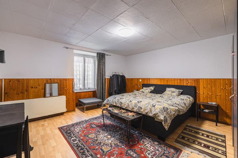 MAISON D'HABITATION AVEC POTENTIEL CONSTRUCTIBLE A CHAVORNAY (3)