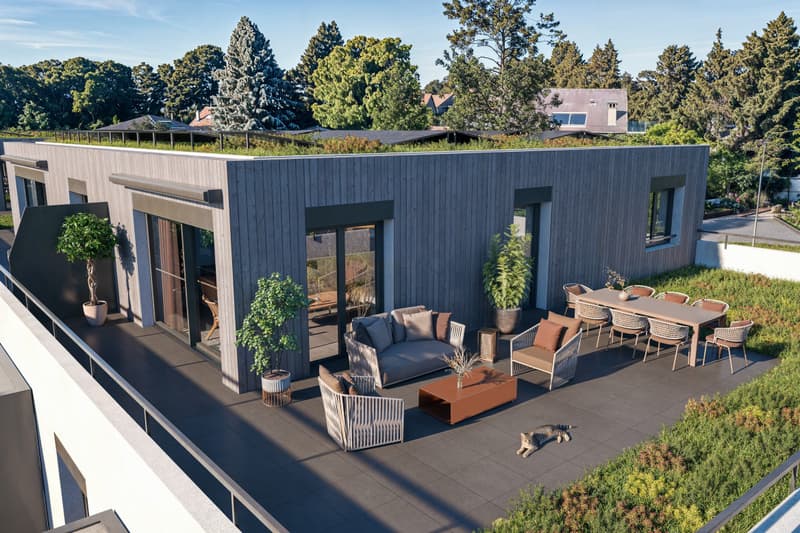 COUP DE COEUR ! ATTIQUE NEUF AVEC GRANDE TERRASSE ! (2)