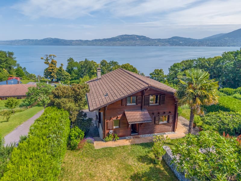 UN PANORAMA D'EXCEPTION SUR LE LÉMAN (1)