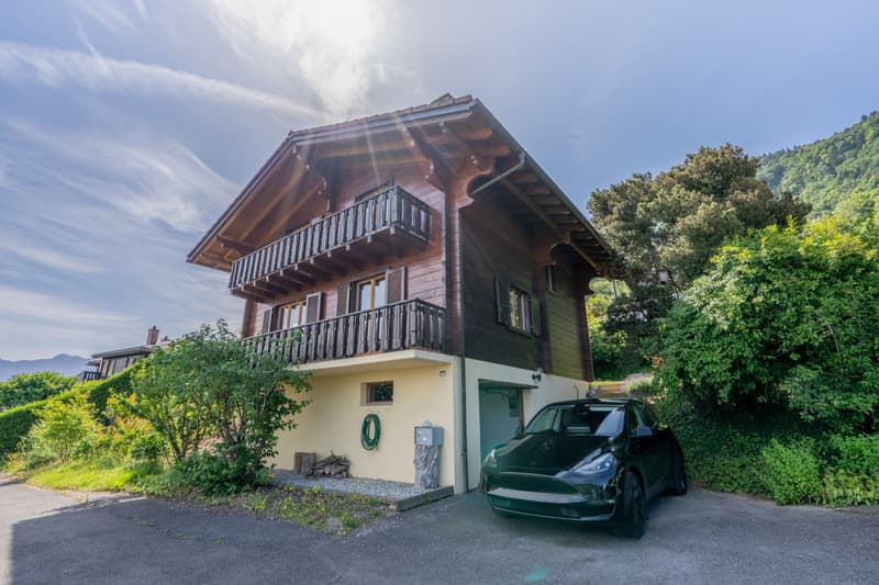 UN PANORAMA D'EXCEPTION SUR LE LÉMAN (7)