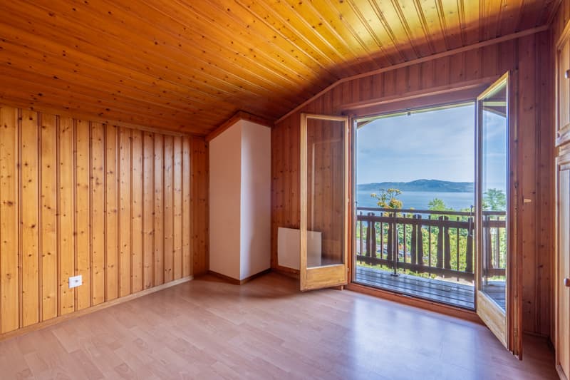 UN PANORAMA D'EXCEPTION SUR LE LÉMAN (4)