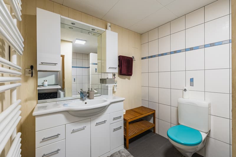 MAISON D'HABITATION AVEC POTENTIEL CONSTRUCTIBLE A CHAVORNAY (7)
