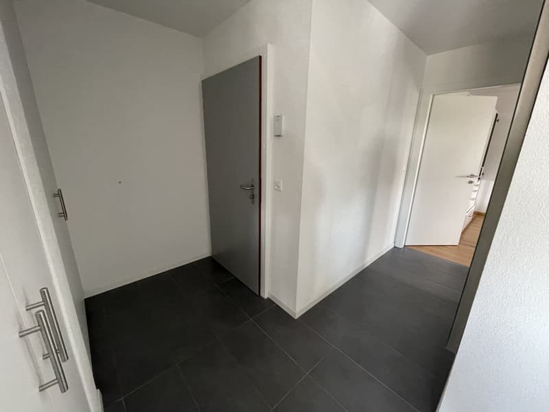 MAGNIFIQUE APPARTEMENT AVEC BALCON À 200M DU LAC (7)
