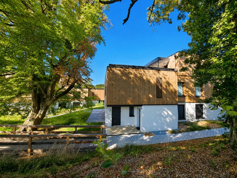 Une visite s'impose ! Dernier lot disponible ! Maison neuve à deux pas du M2 et en pleine nature (2)