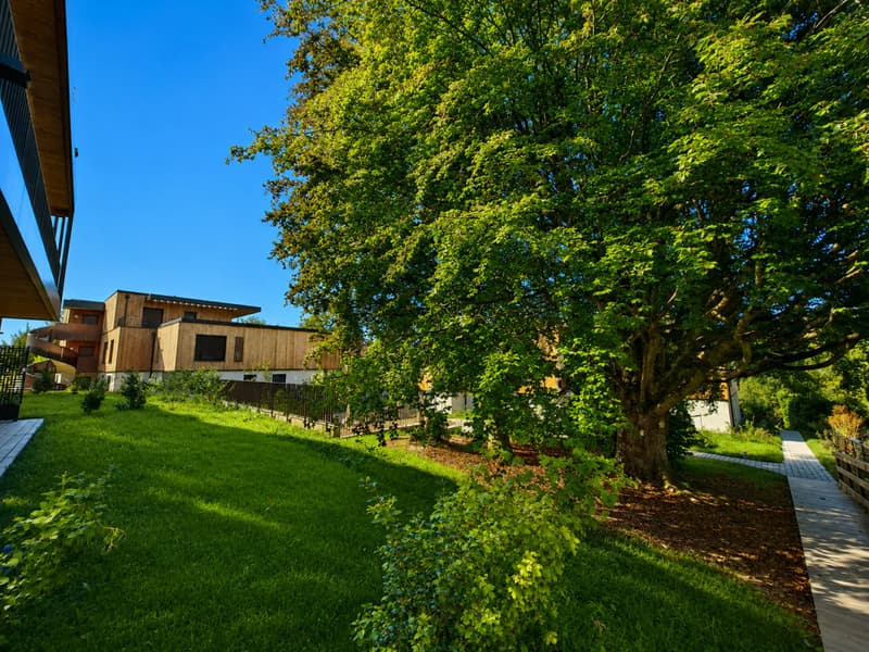 Une visite s'impose ! Dernier lot disponible ! Maison neuve à deux pas du M2 et en pleine nature (1)