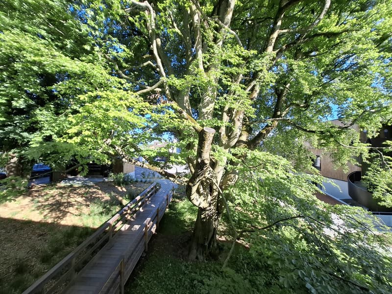 Une visite s'impose ! Dernier lot disponible ! Duplex neuf dans une oasis de verdure à deux pas du M2 (11)