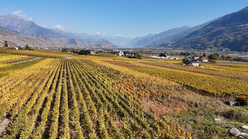 Dernière opportunité – Villa 4.5 pièces neuve à St-Pierre-de-Clages (7)