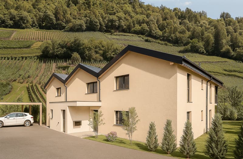 2.5 pièces avec terrasse et jardin privatif orientation plein sud (Vuisse, Savièse) (2)