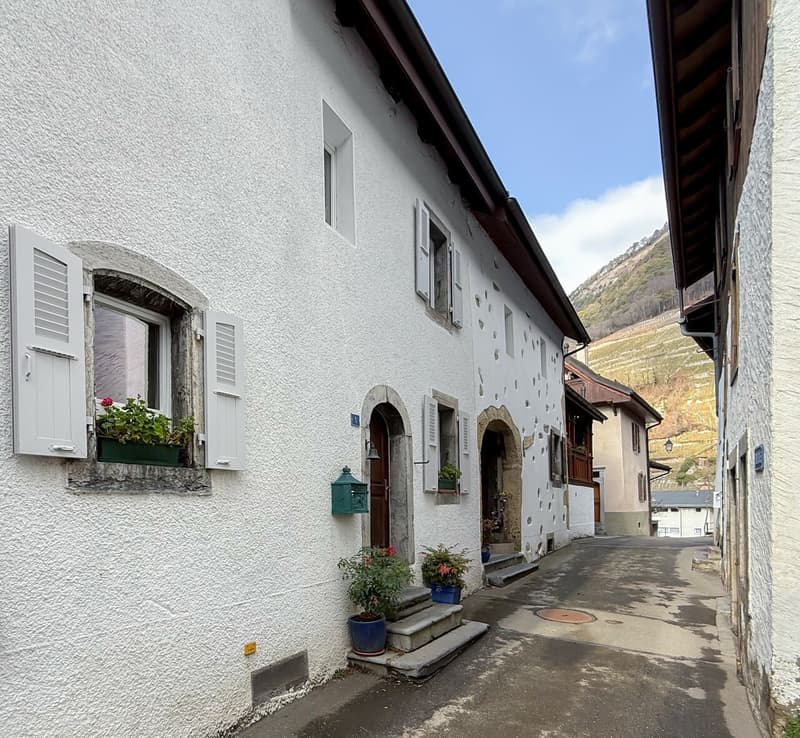 "A vendre" Charmante maison Villageoise avec jardin