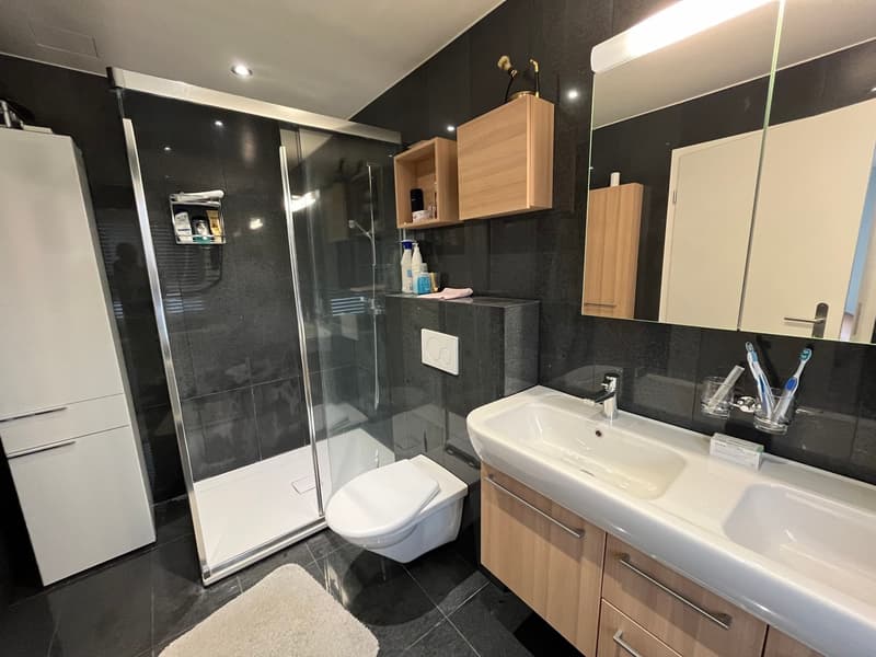 Salle de douche WC attenante