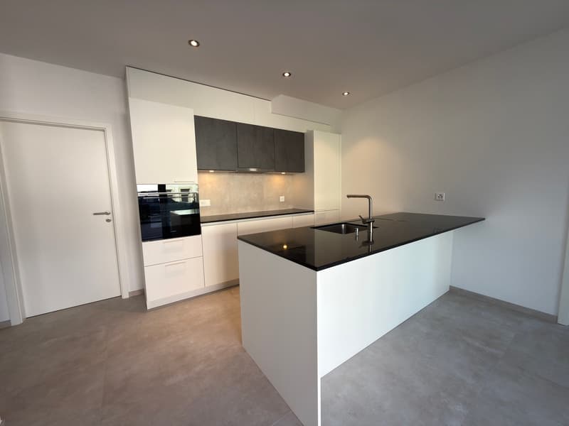 Appartement neuf de 4.5 pièces de plain-pied avec terrasse privative (2)