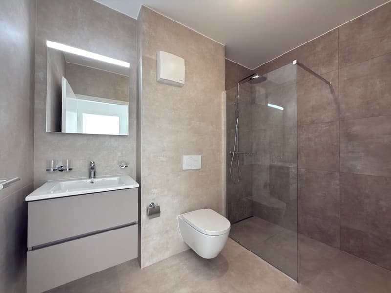 Appartement neuf de 4.5 pièces de plain-pied avec terrasse privative (7)