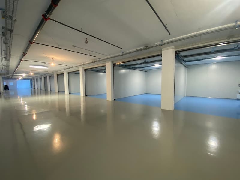 Opportunité d'investissement Box/dépôt sécurisé loué (1)
