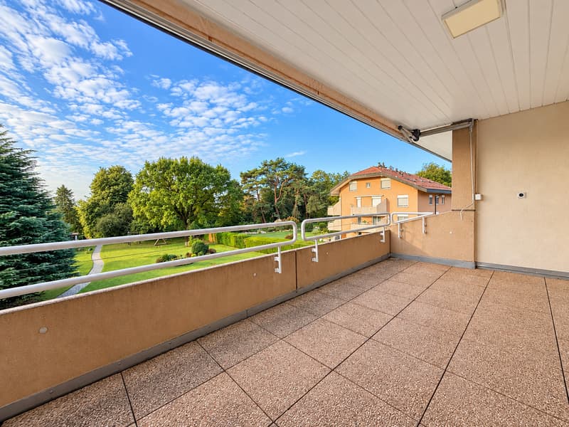 Attique exclusif avec terrasse plein sud (5)