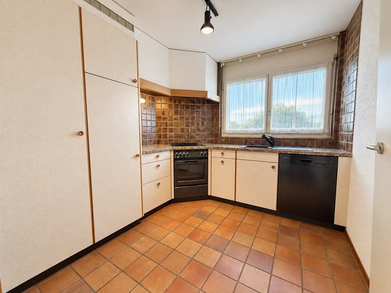 Attique exclusif avec terrasse plein sud (3)