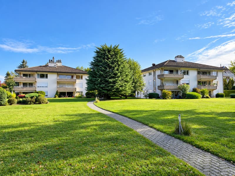 Attique exclusif avec terrasse plein sud (1)