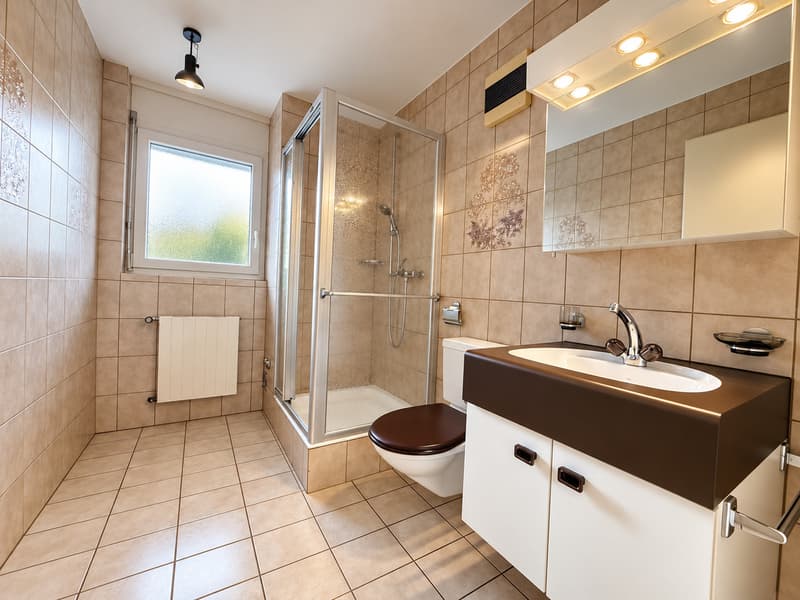 Attique exclusif avec terrasse plein sud (10)