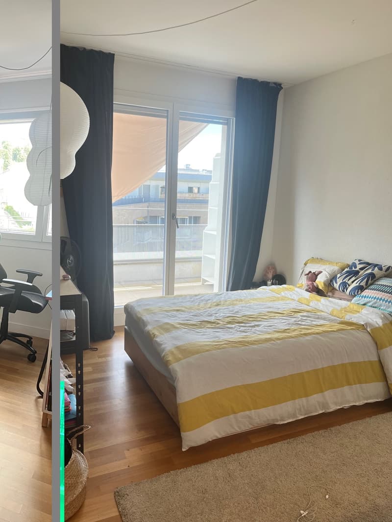 Prilly, magnifique appartement de 4.5 pièces au dernier étage - vue Léman et Alpes (6)