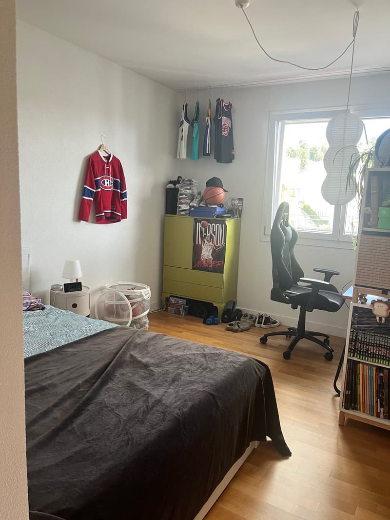 Prilly, magnifique appartement de 4.5 pièces au dernier étage - vue Léman et Alpes (7)