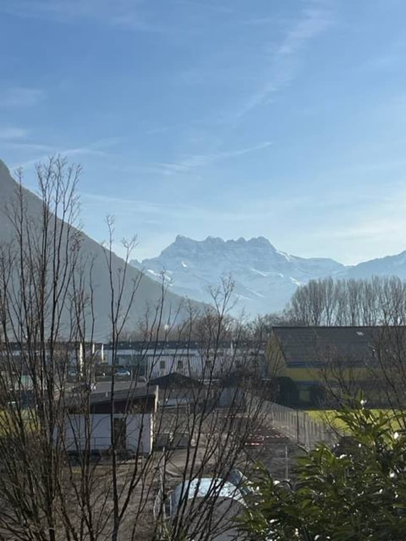 Bel appartement de 2.5 vue dégagée sur les Alpes (1)