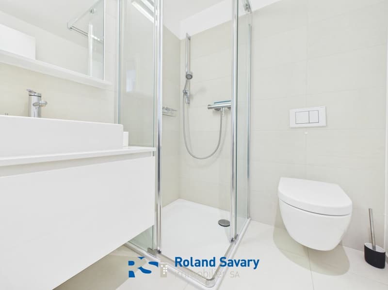 Apartment 4.5 rooms in Pully (8)