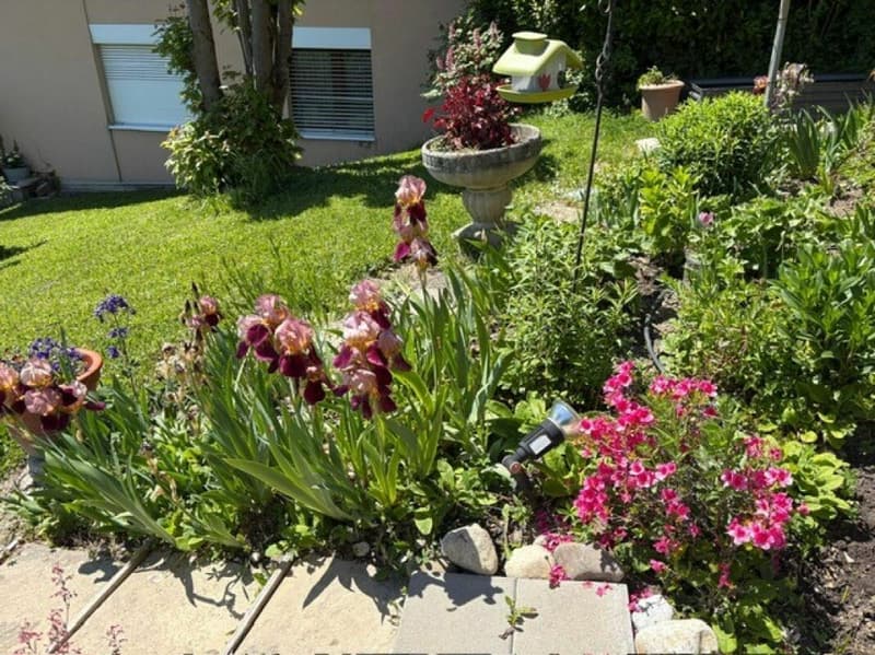 Appartement de 4.5 pièces (13)