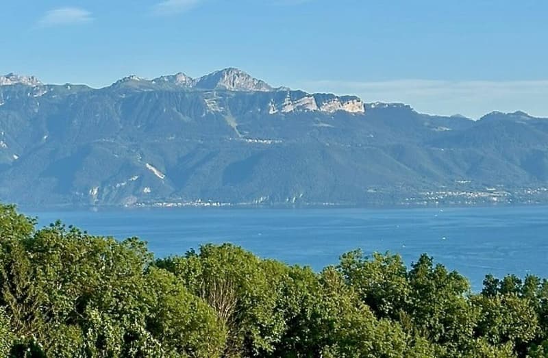4.5 pièces de standing - Terrasse 99 m² & vue lac (3)