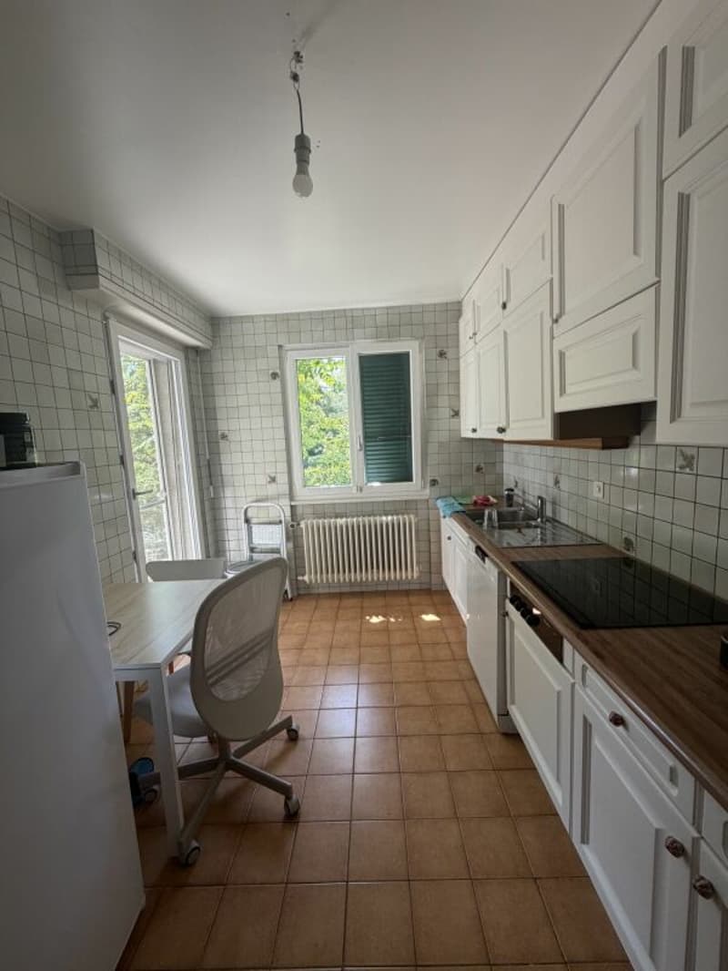 Appartement de 3,5 pièces au rez (3)