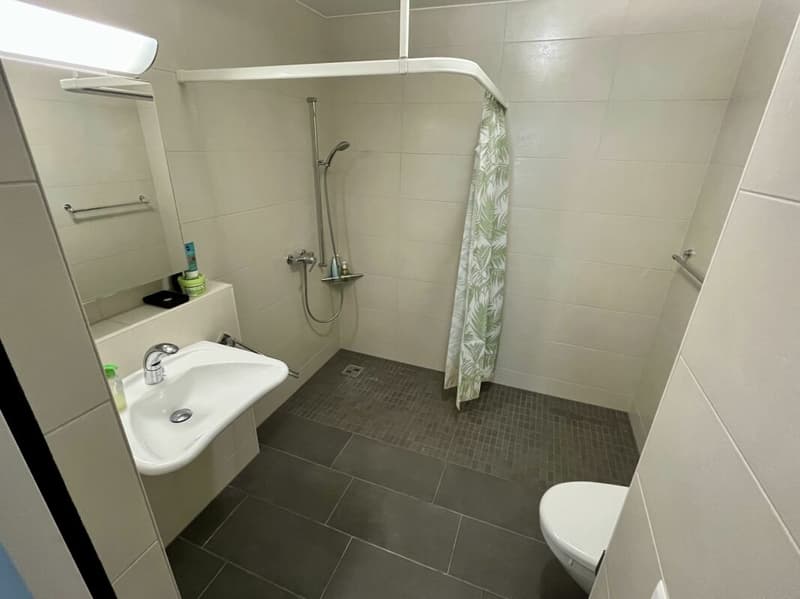 Ateliers - appt de 3.5 pièces (7)
