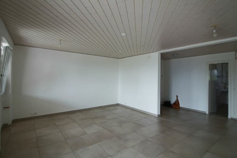 Appartement de 4.5 pces (3)