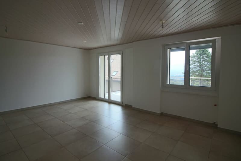 Appartement de 4.5 pces (2)