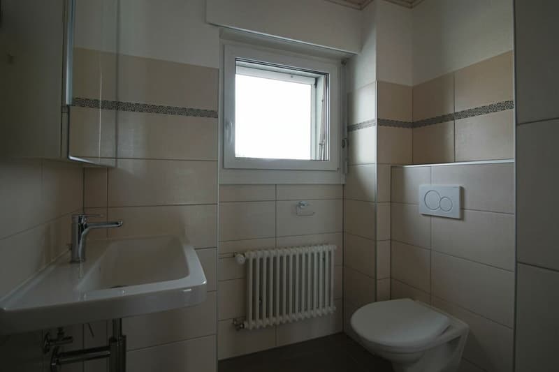 Appartement de 4.5 pces (8)