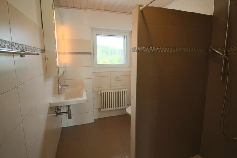 Appartement de 4.5 pces (9)
