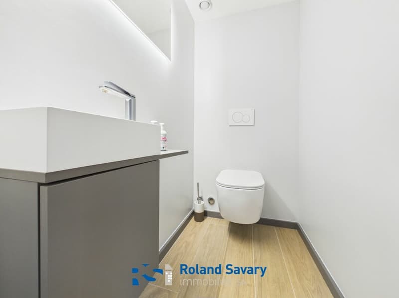 Bel appartement de 3.5 pièces (9)