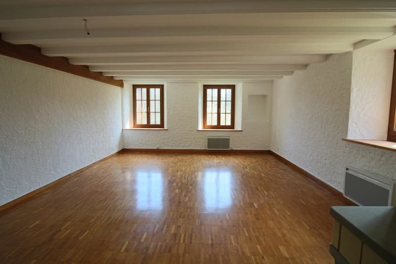 Planches - appt 3,5 pces (3)