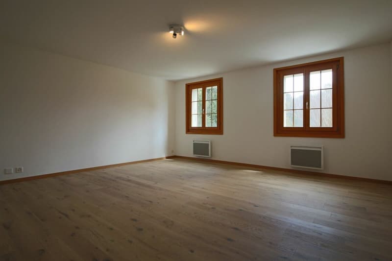 Planches - appt 3,5 pces (6)