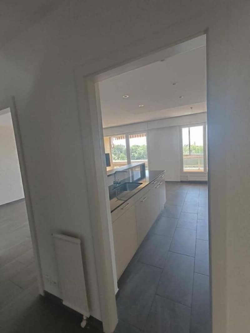 Ormeaux - Appartement de 3.5 pièces (4)